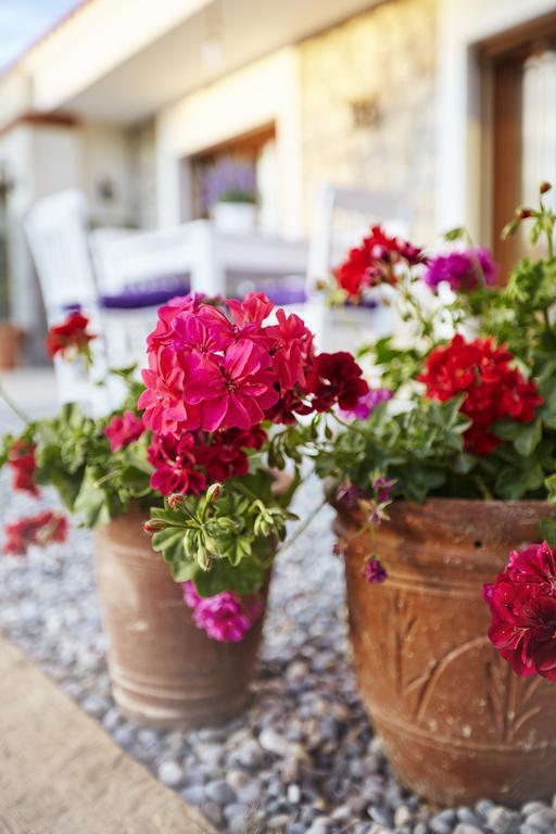 L'Olivier Guest House Alacati Exterior photo